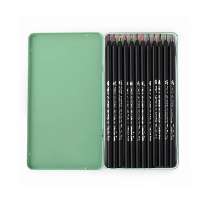 12_crayons_de_couleur_multicolores_Tout_autour_du_Monde_Moulin_Roty_2.webp