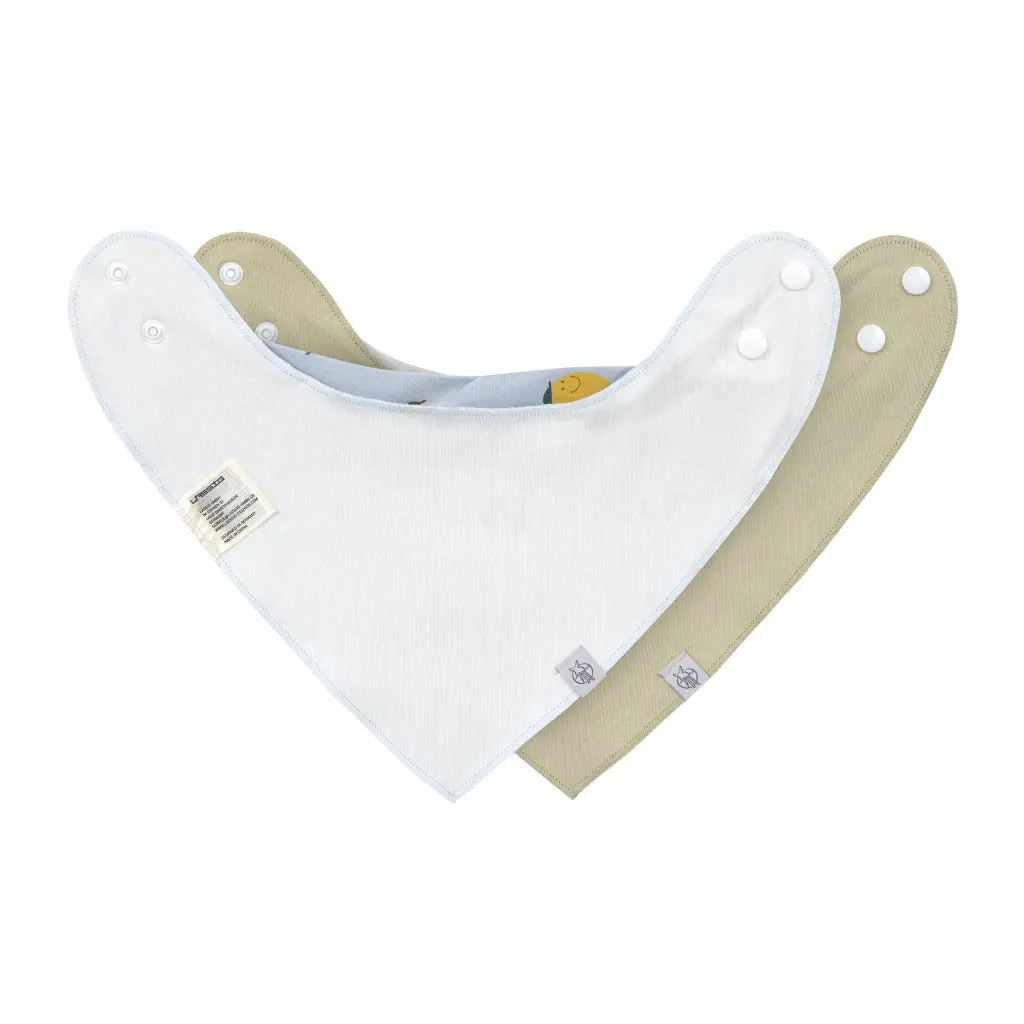 bandanas happy fruit.webp