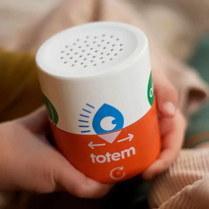 totem-379858.webp
