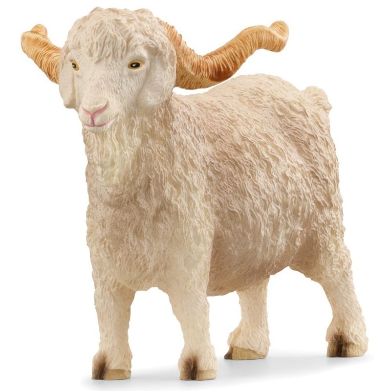 Bouc Angora
