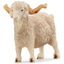 Bouc Angora