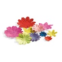 Coffret Inspired by Frida Kahlo Coyoacán