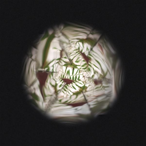Janod Happy Garden Készítsd El Saját Virág Kaleidoszkópod DIY