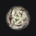 Janod Happy Garden Készítsd El Saját Virág Kaleidoszkópod DIY