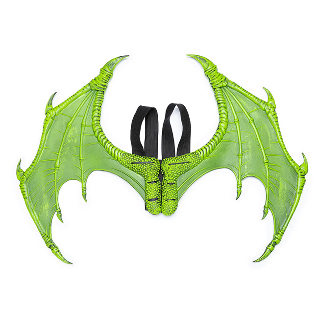 Ailes de dragon