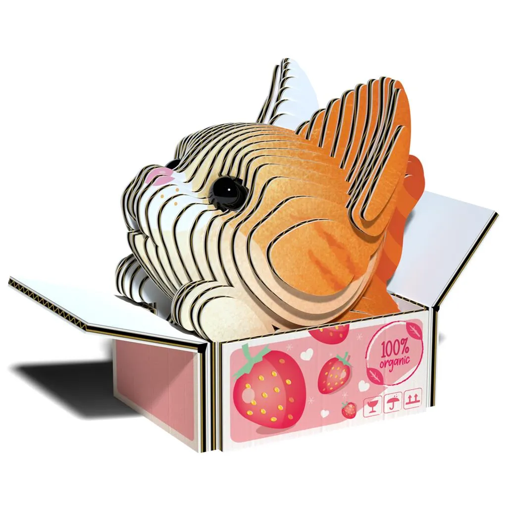 Eugy 3D - Cat Pumpkin 2.webp