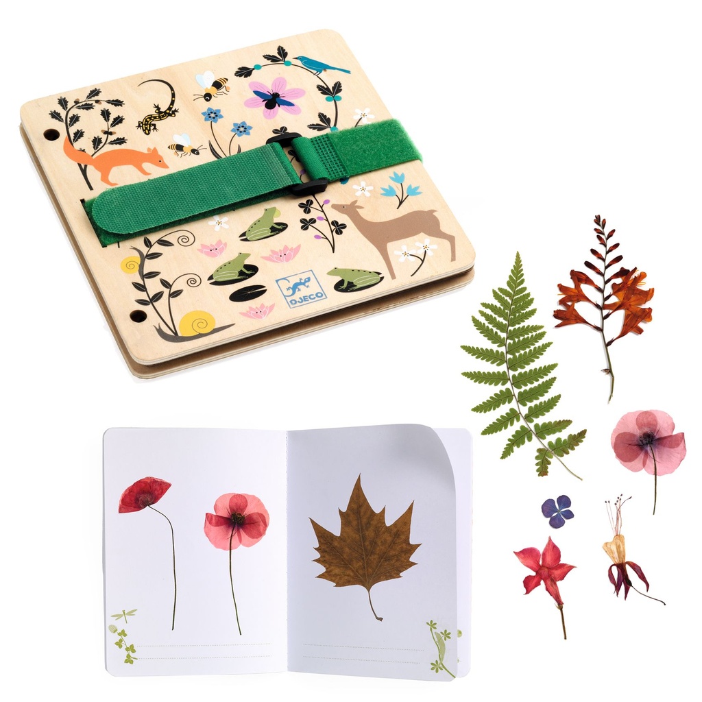 Presse et Herbier à créer