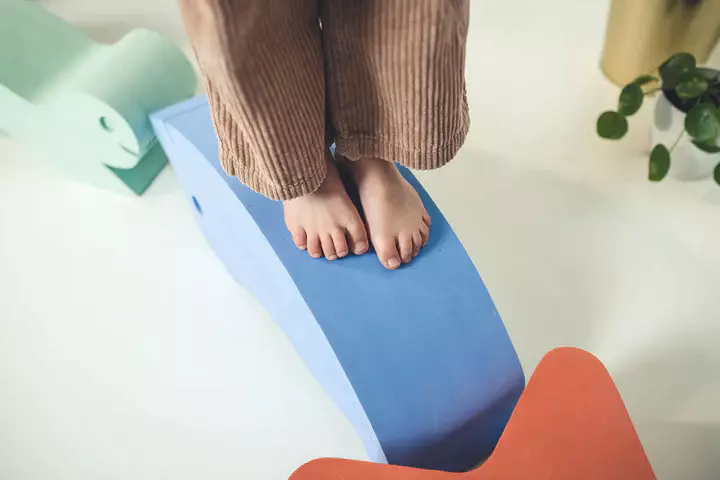 Dolphin Moes