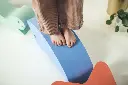 Dolphin Moes