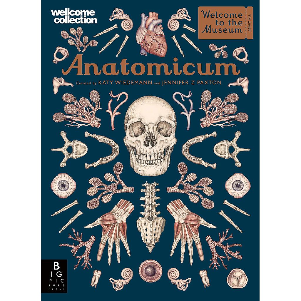 [CA-7316] Anatomicum