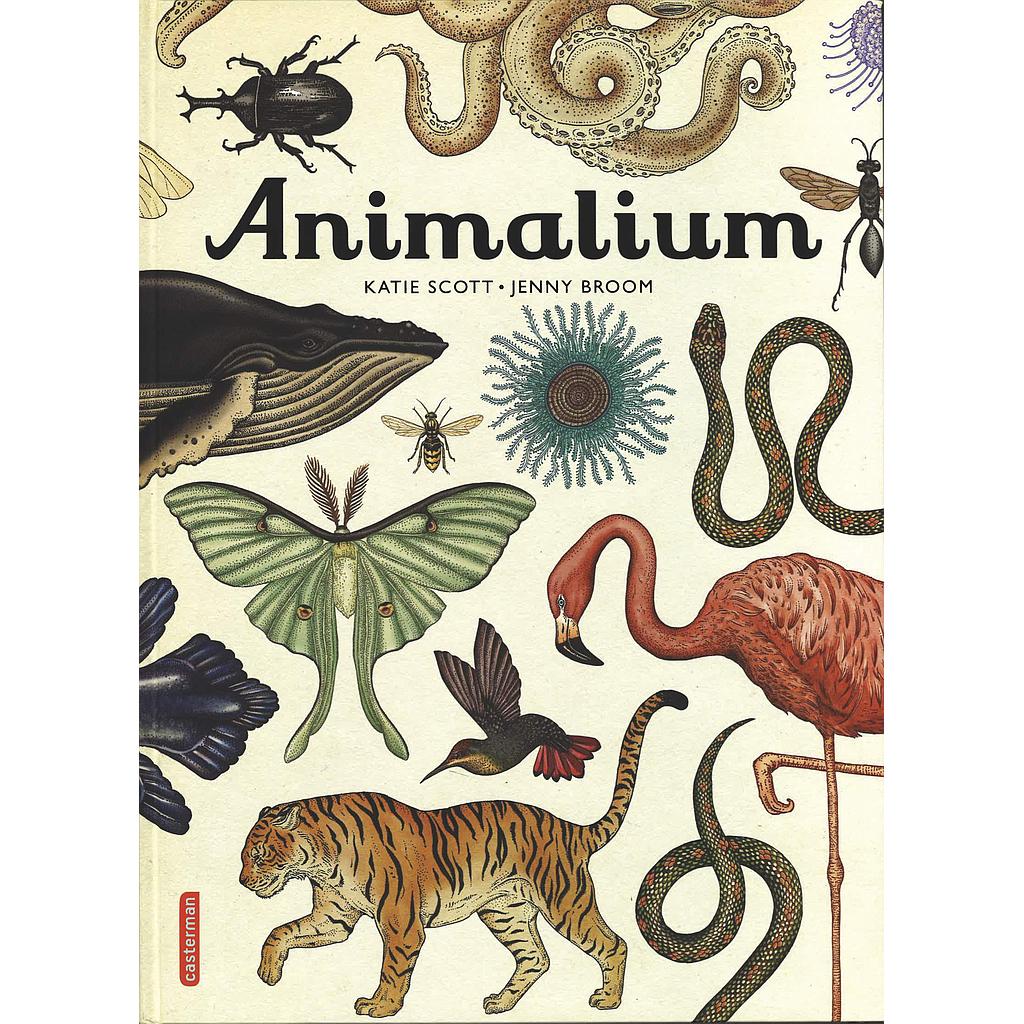 [CA-8923] Animalium