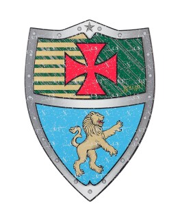 Bouclier Ronald Souza