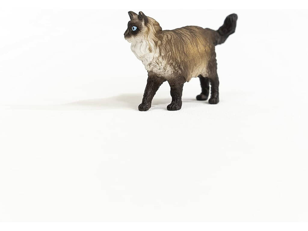 Chat Ragdoll Schleich