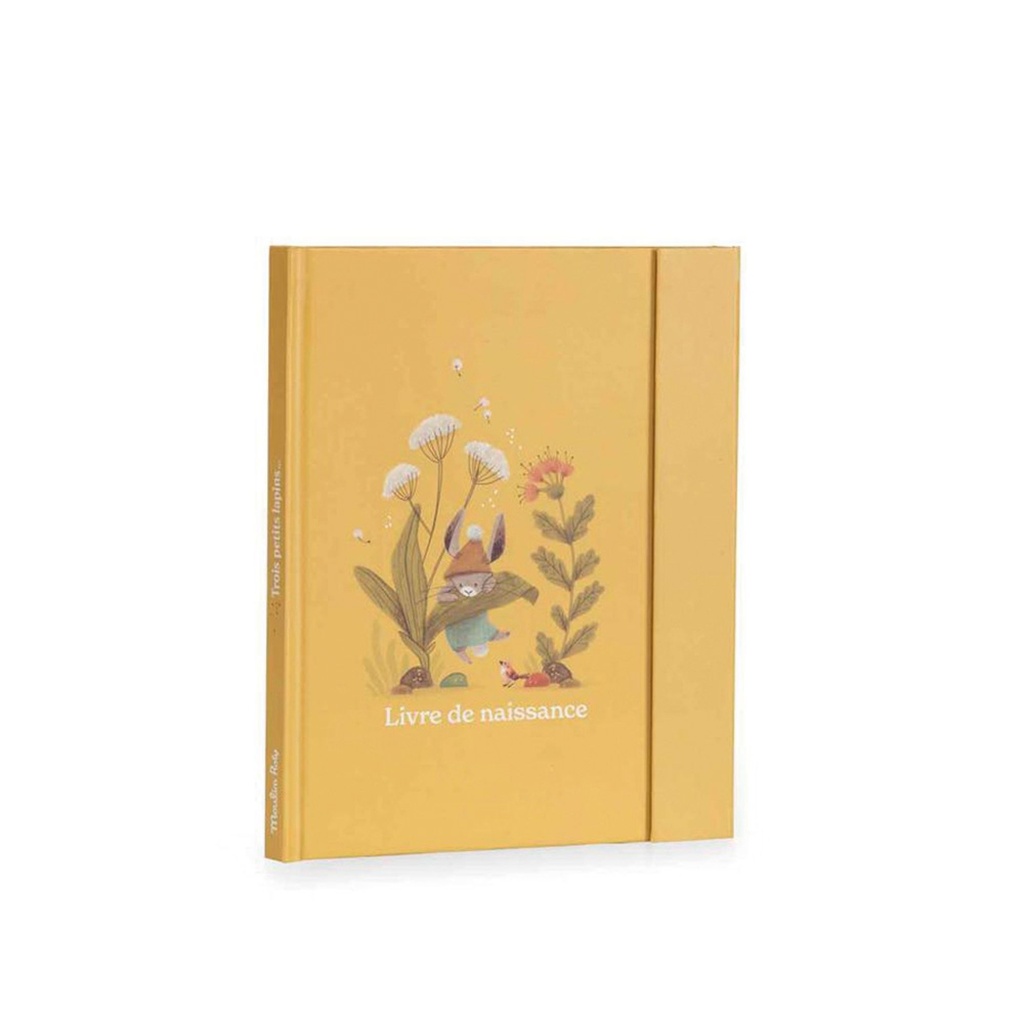 Livre de naissance Trois petits lapins Moulin Roty