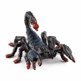 [SC_4902] Pandinus Imperator Schleich