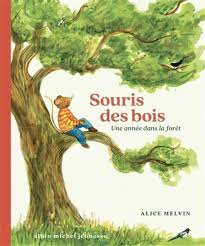 Souris des bois Une année dans la forêt