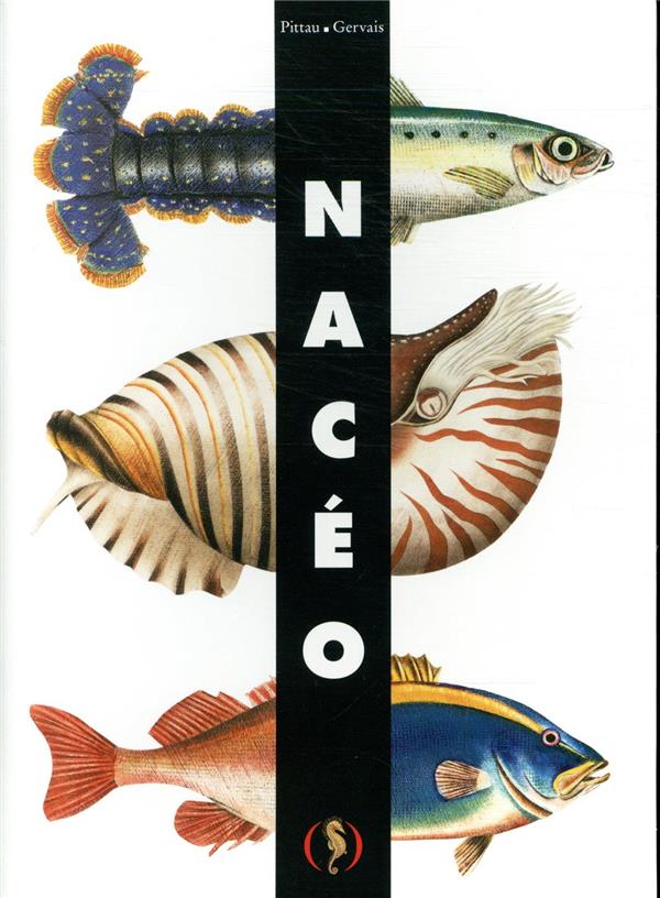 [GR-5887] Nacéo