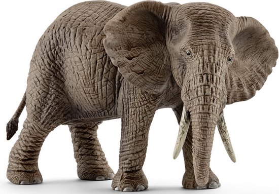 Eléphant d'Afrique Mâle Schleich