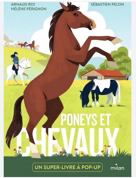 [MI-3811] Poneys et chevaux Pop up-docs