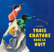 Trois chatons dans la nuit 