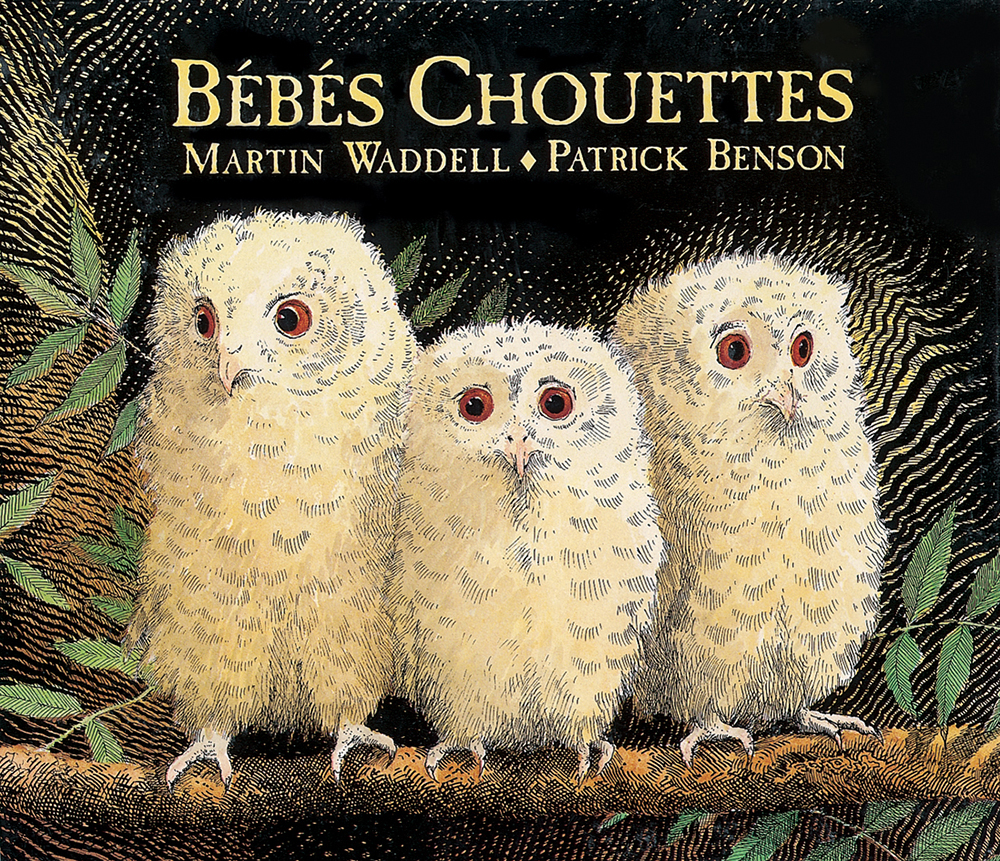 Bébés Chouettes - Les Lutins