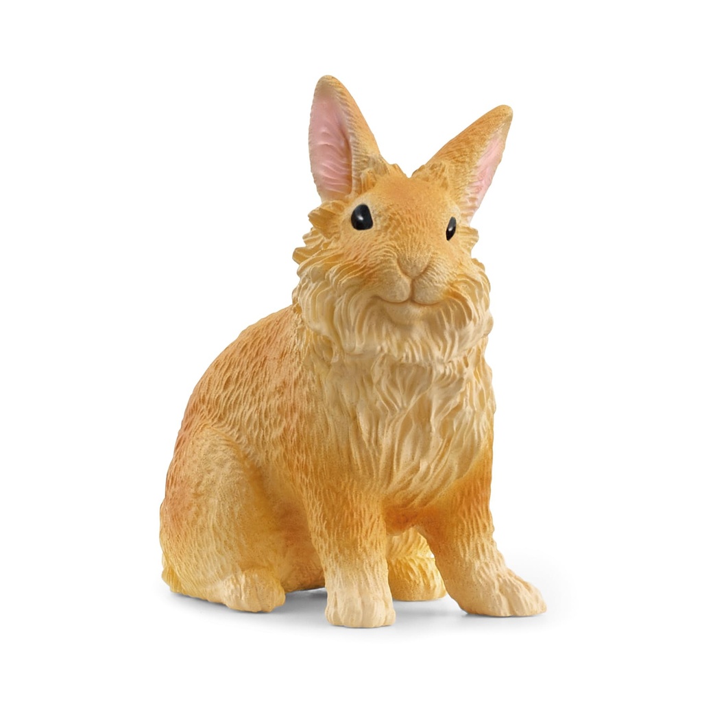Lapin Lionhead