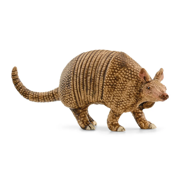 Tatou Schleich