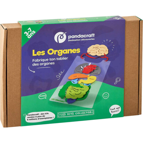 Kit créatif Les Organes
