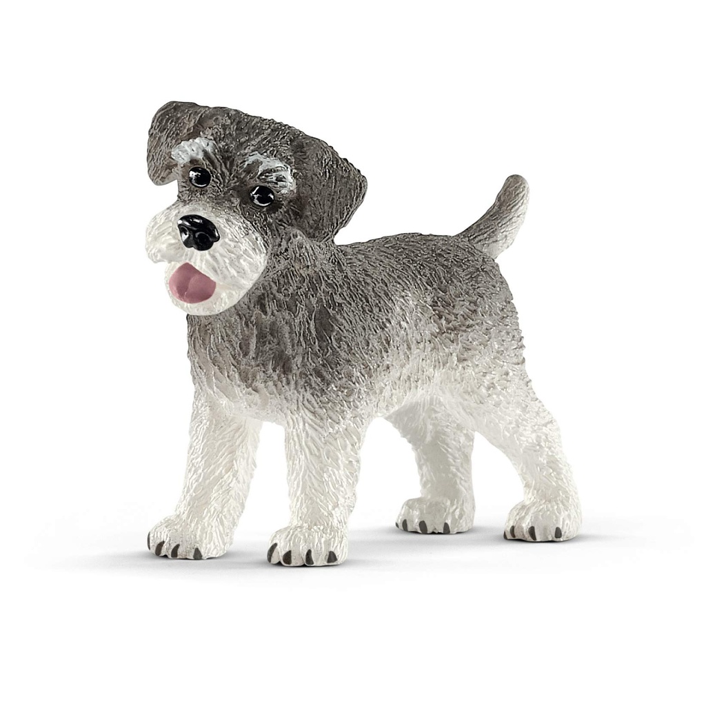 Schnauzer nain Schleich