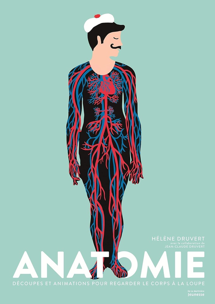 [LA-8937] Anatomie