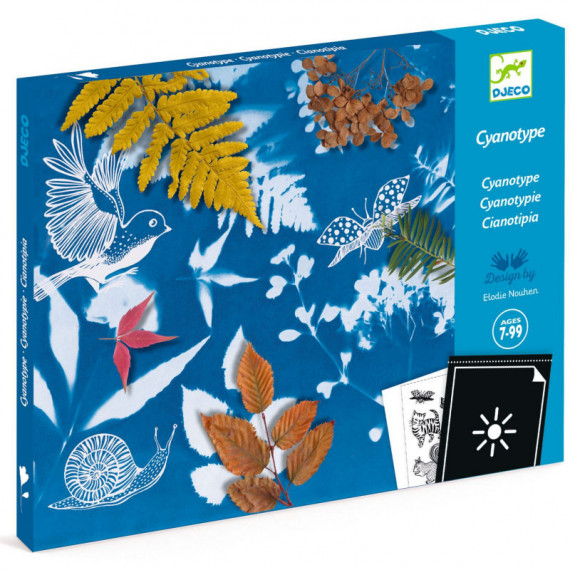 Cyanotype Kit d'initiation Djeco
