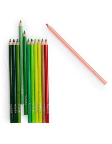 12 crayons de couleur + cartes Le botaniste