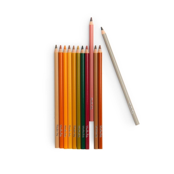 12 crayons de couleur + cartes Le jardinier