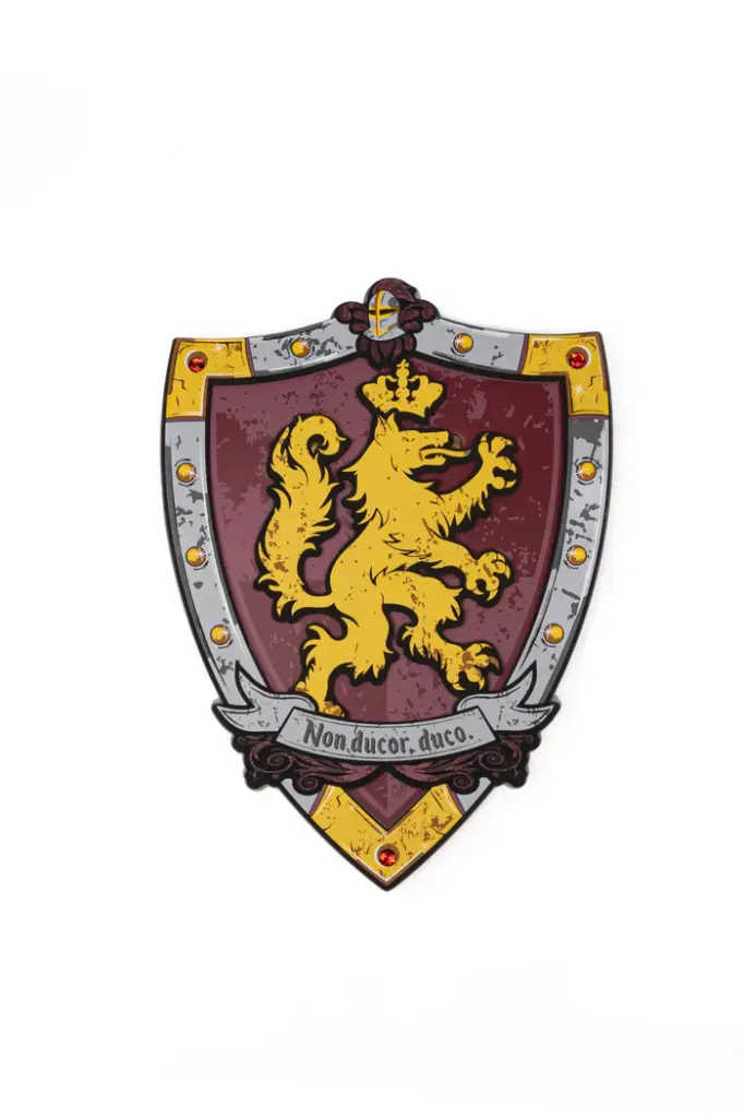 Bouclier de chevalier Eva