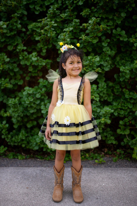 Robe d'abeille Serre-tête 3-4 ans