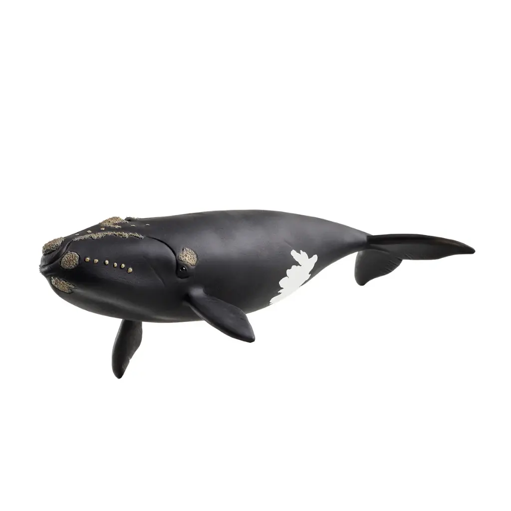 Baleine de l'Atlantique Schleich