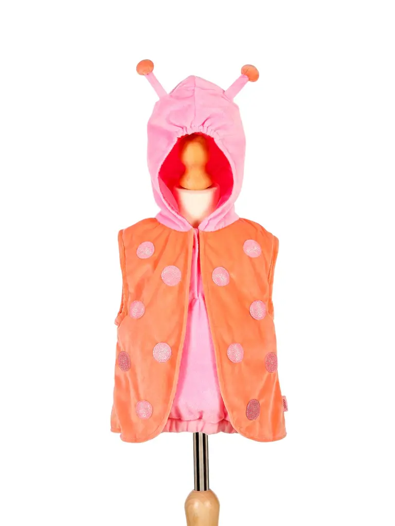 Costume de coccinelle Daisy Ladybird, 2 ans, 92 cm