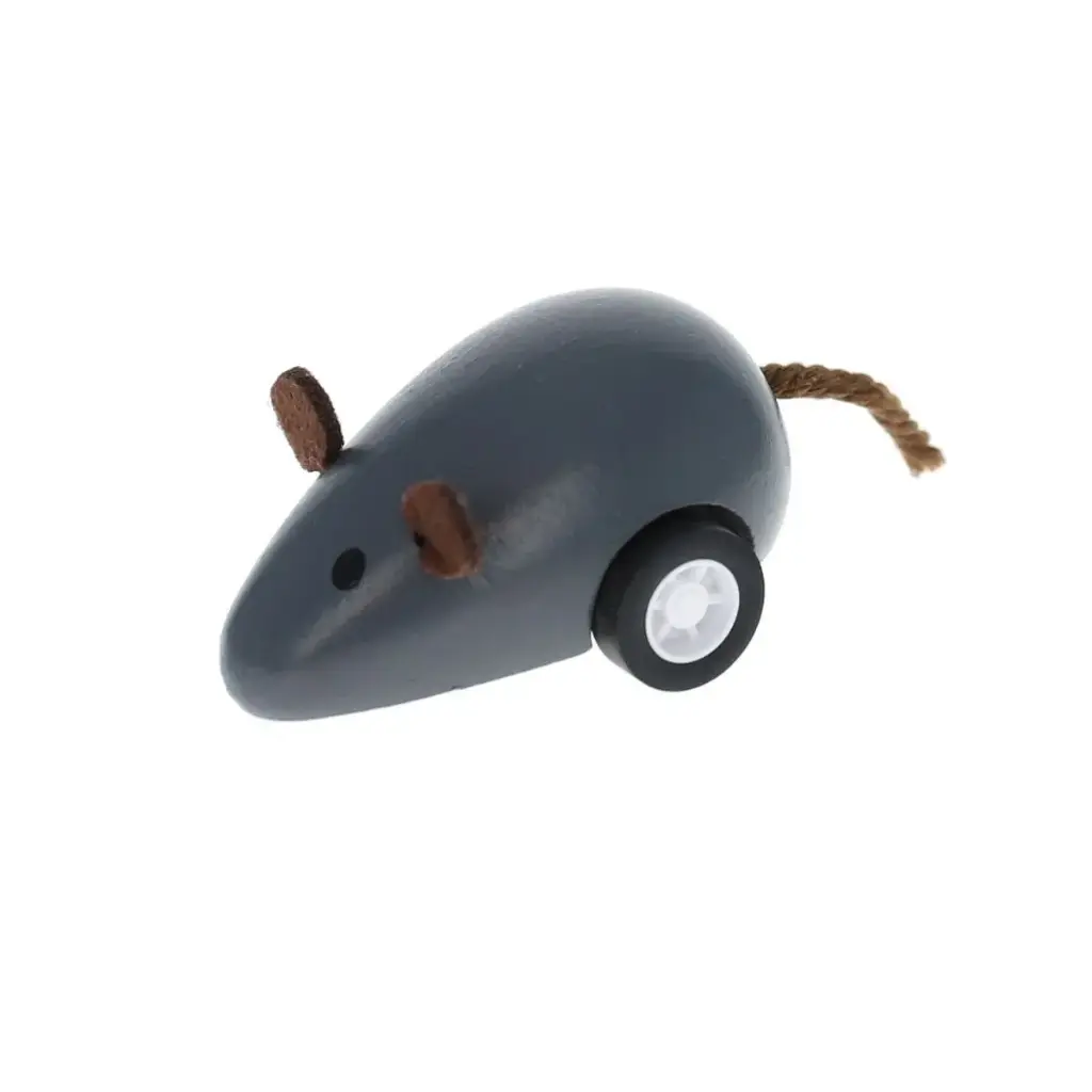 Souris 