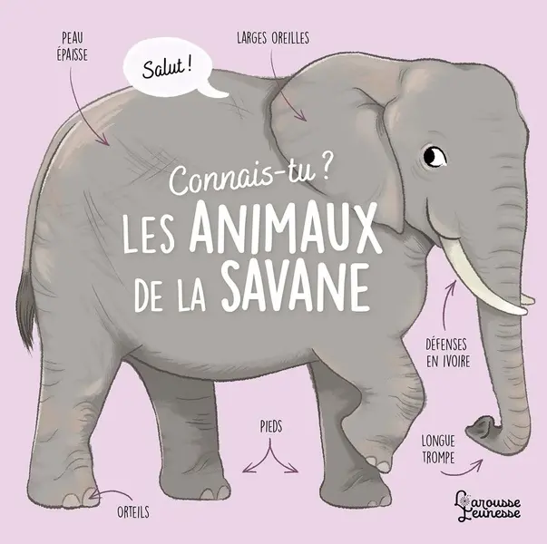 Connais-tu les animaux de la savane?