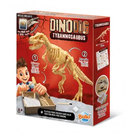 Dino Dig (4 modèles différents)