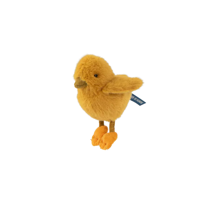 Poussin Tout autour du Monde