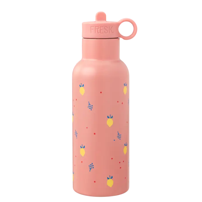 Gourde Istotherme 500 ml 