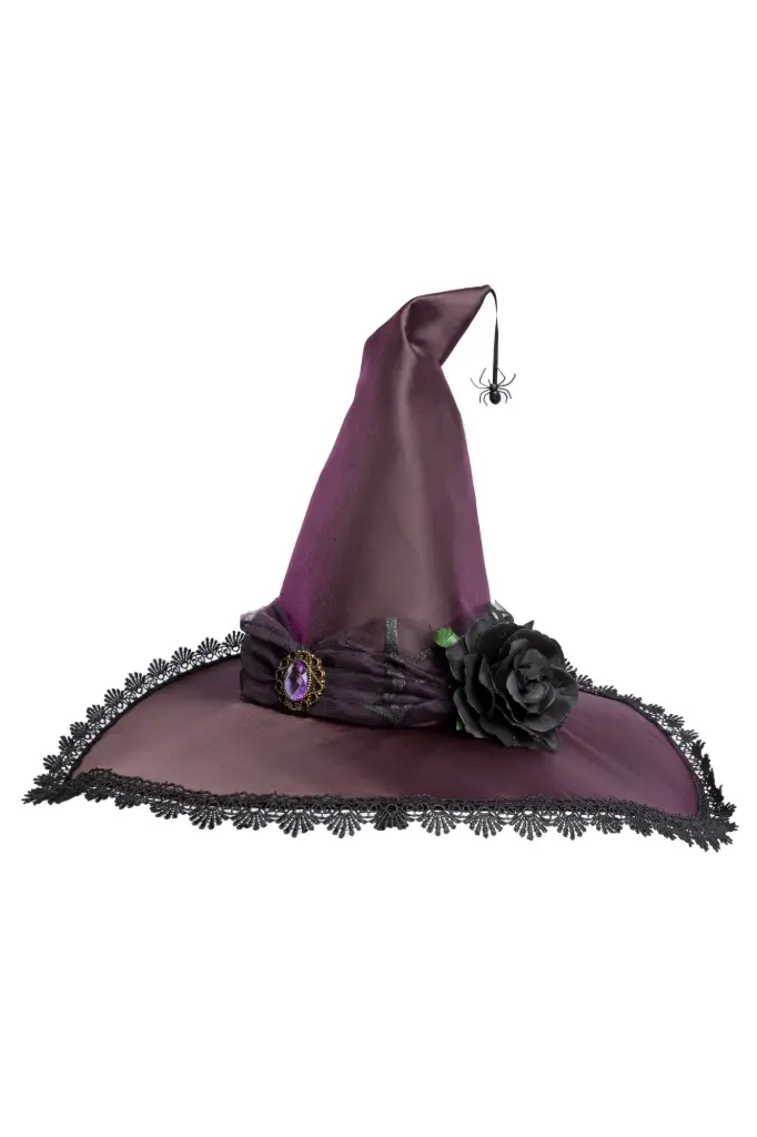 Chapeau de sorcière avec araignée