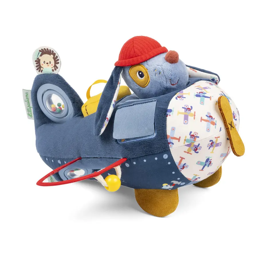 Avion d'activité Jules