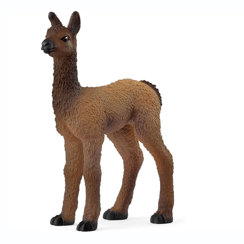 Bébé Lama