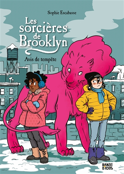 Les Sorcières de Brooklyn Tome 2 Avis de tempête 