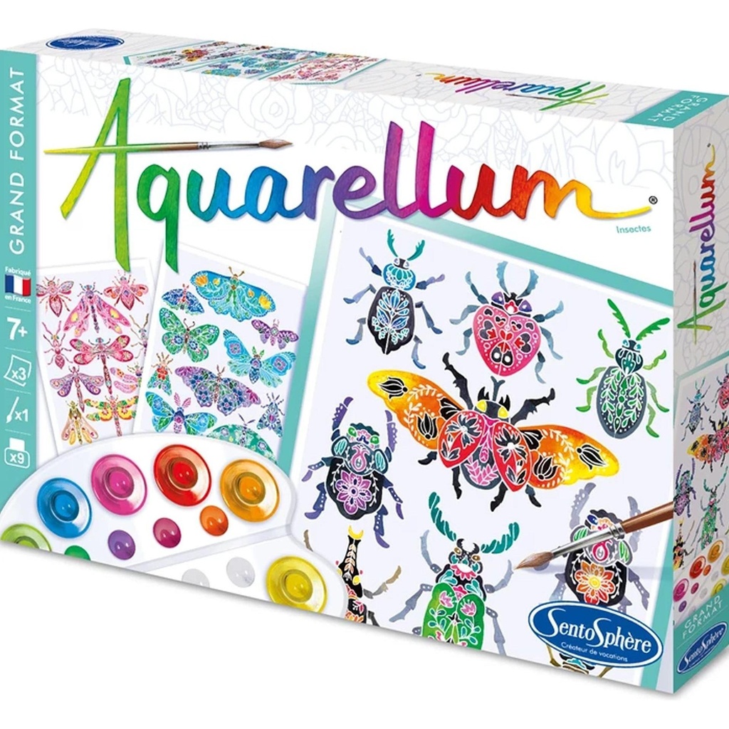 Aquarellum Insectes