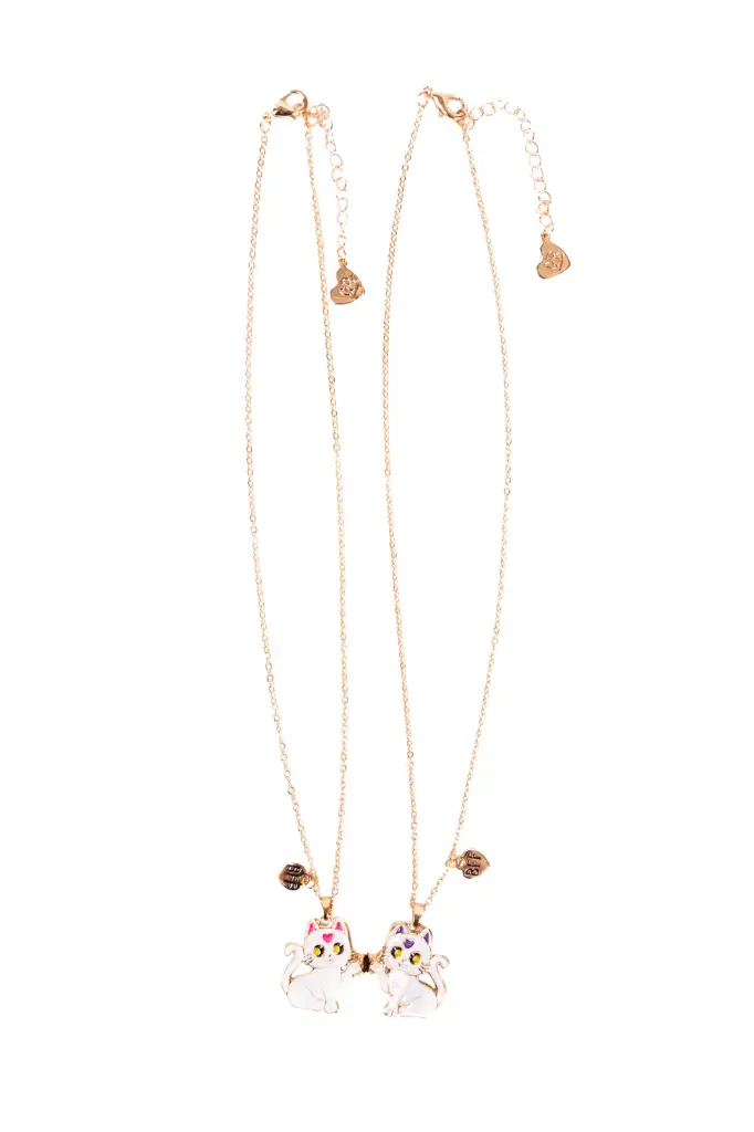 Colliers d'amitié Chats