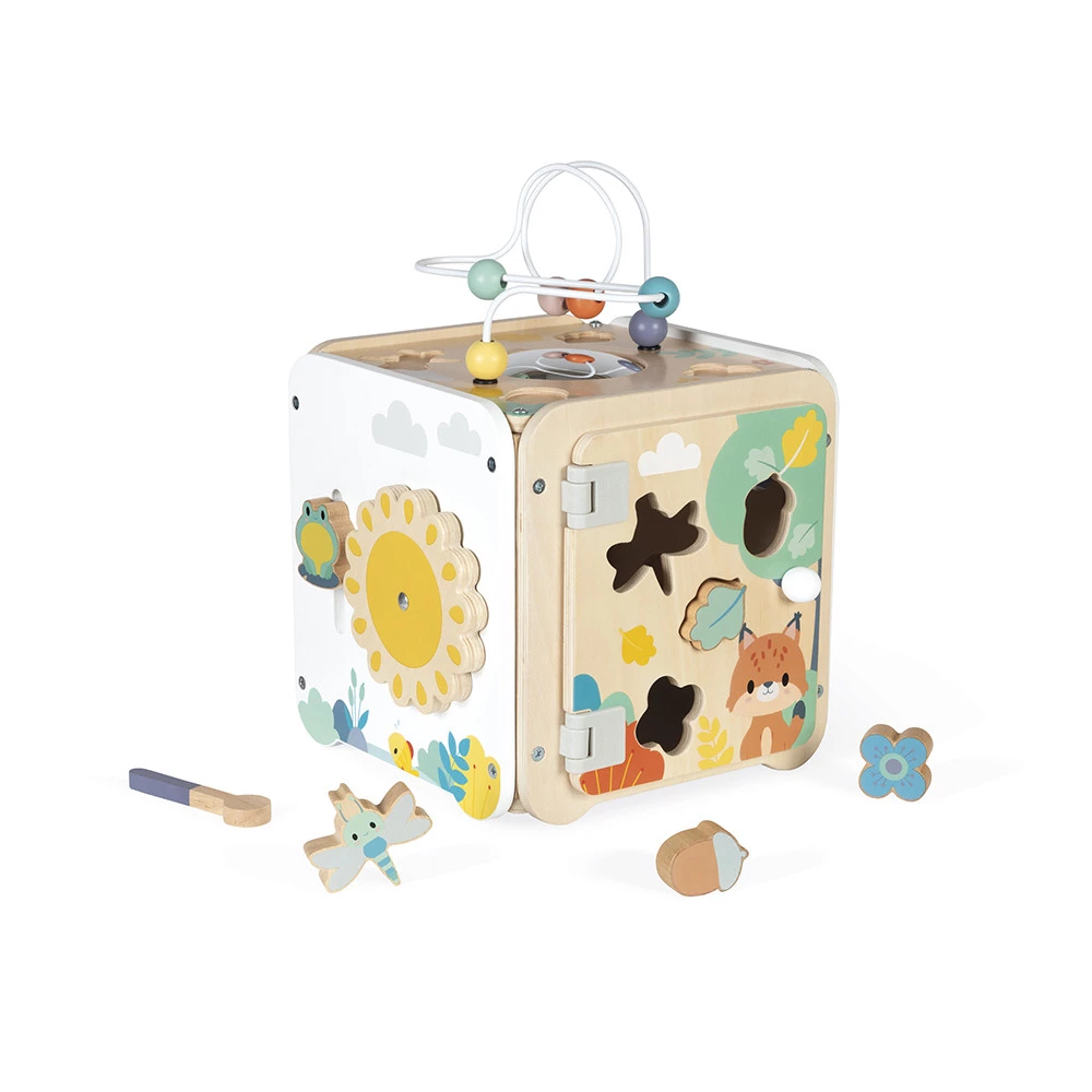 Maxi Cube Multi-Activités Pure 