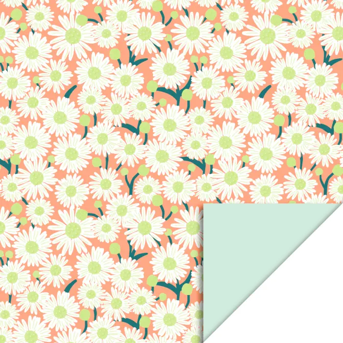 Rouleau Emballage cadeau Daisy Peach